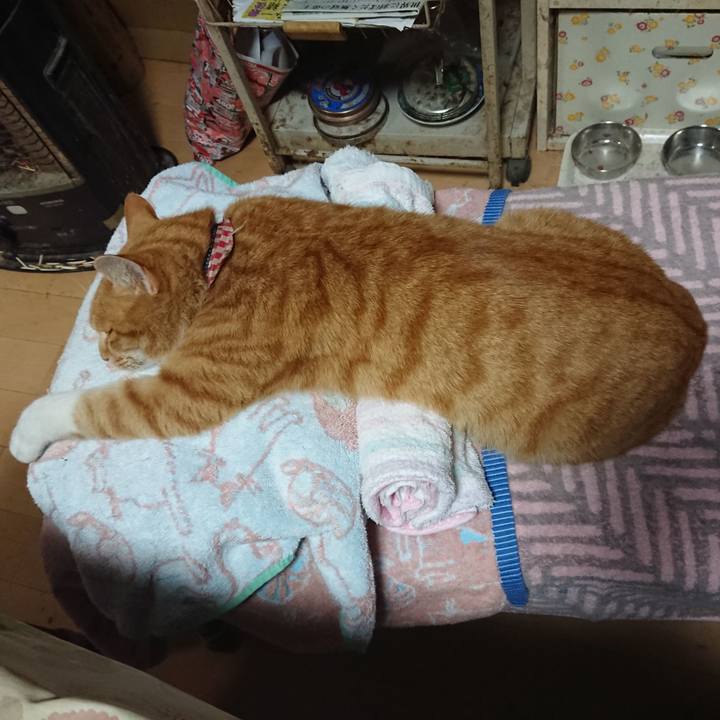 C90e075a ad08 489c 9311 4b613f8803f8 1605173757431