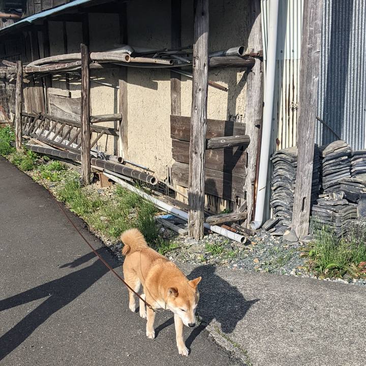 C90e2b00 d294 443d 92f6 2ba473336864 1685664230165