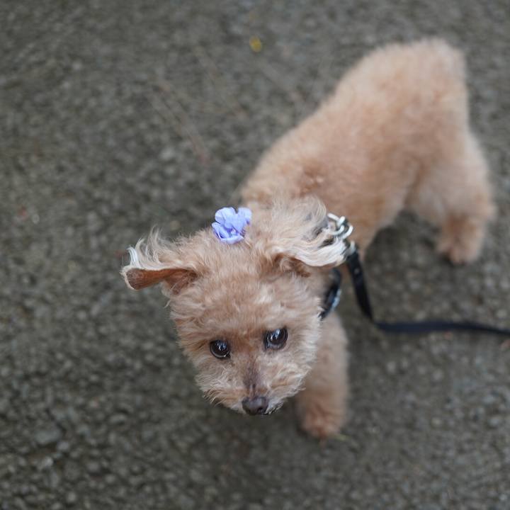 C90e462f b1c0 4e53 b7d8 458a58804cdf 1697255814051