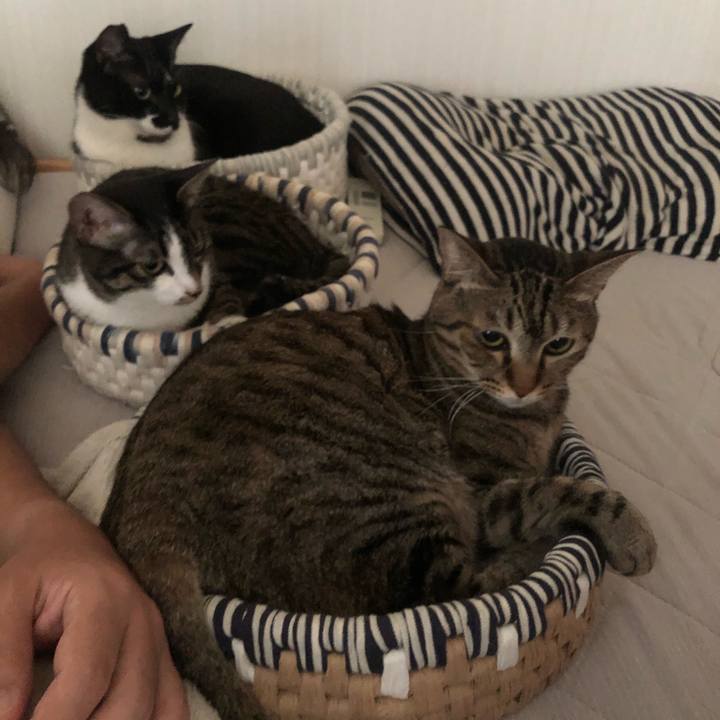 C90e4c5b 56f3 47bf 8ef8 1cafaeee8235 1599511695911