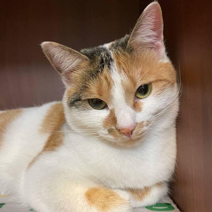 C90e8df9 1759 4e6a b3fa f0b64e814eb4 1605953251011