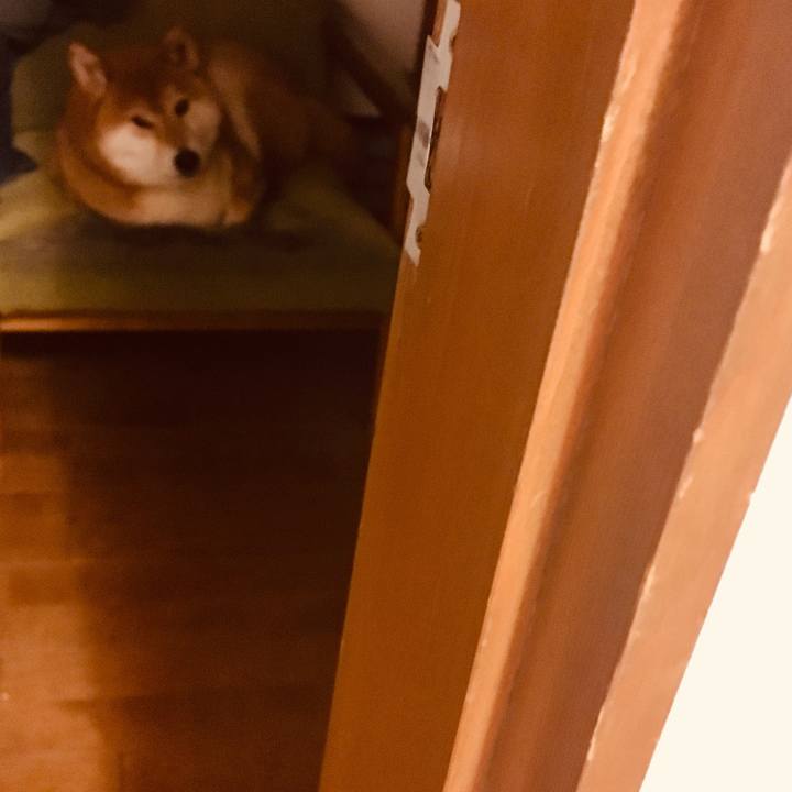 C90e9058 16d8 4020 99a5 12fe6fe14c30 1578747473647