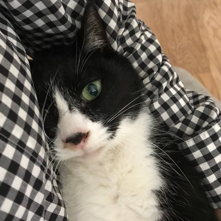 C90e9a7c dad5 4c6f ad60 1fdd02cd265d 1516415500625