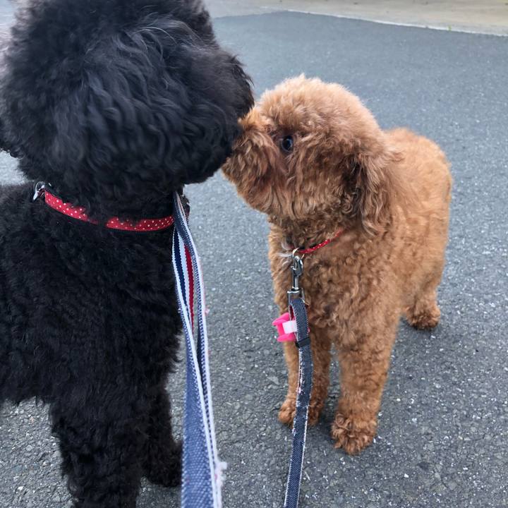 C90e9ba5 efaa 4c86 a10c aedb8b565bad 1588843889220