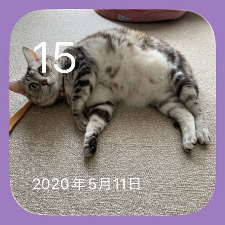 C90e9cd3 18e7 4d9c b4ff 65389cec0d74 1778846421324