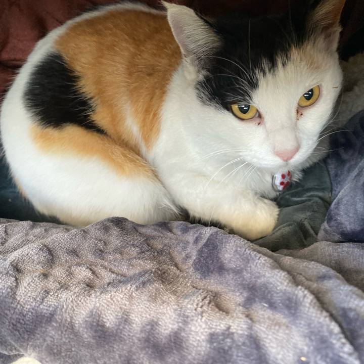 C90ed436 3e4d 4696 97e4 f56707804338 1642290184947