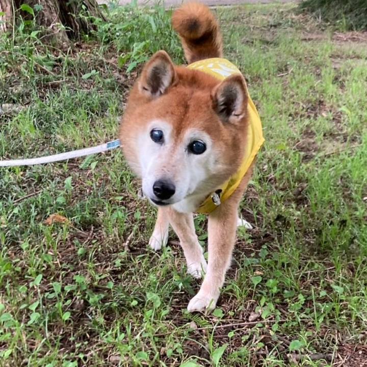 C90ed69e f991 4ea0 9028 5dbb51bf64c0 1748666282419