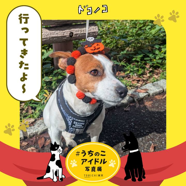 C90eed2d aca3 42b0 a2ca f4b2bdc5d069 1761536402957