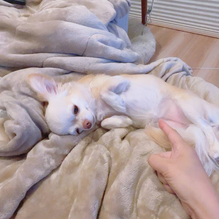 C90f1e4a f164 4e12 ba55 bd3b96a80071 1694089001971