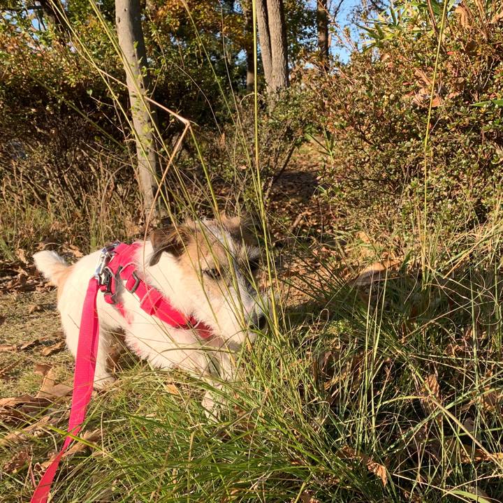 C90f2cc7 c7d7 406c b1bf 3711aa4d11b3 1575014454451