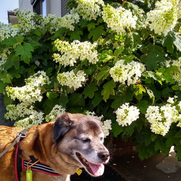 C90f6ad0 046f 4da6 a227 de592a42fda2 1558916214112