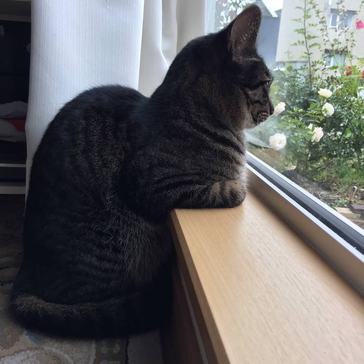 C90fa268 90b3 43a1 9ede 5b959b4801cc 1535600026049