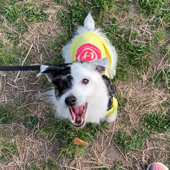 C90fadca 6dc4 4b3d b06a 2be4e818198e 1680683320420