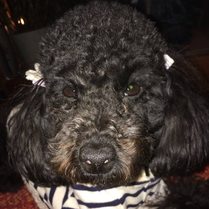 C90fbaa2 5fb0 4d1a af4d fdd4f44d1318 1524228738680