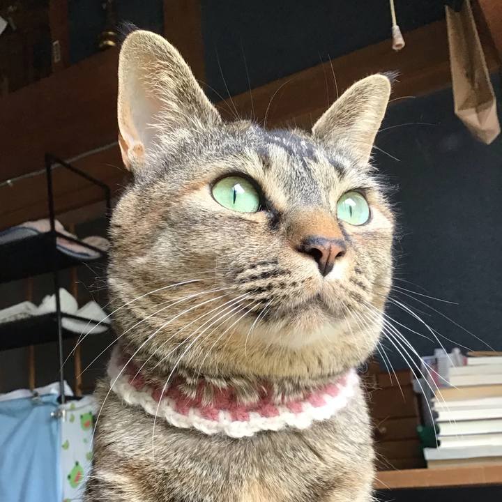 C90fcd69 98ba 46f9 94c2 f7659886c506 1715513345442