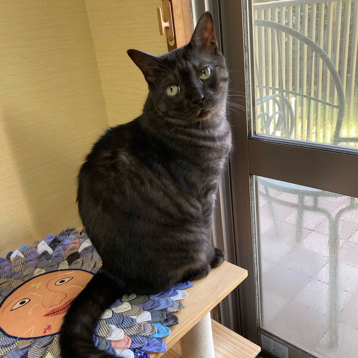 C90feb62 cd13 41c1 adde fb6856808fc5 1715984623407