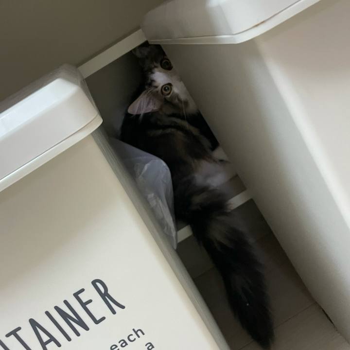 C91038b7 44df 4749 89c2 adaccf42ce36 1635806132427