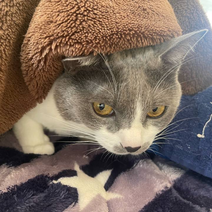 C910c514 94b1 4f53 9c2e 902af998c93b 1668037937911