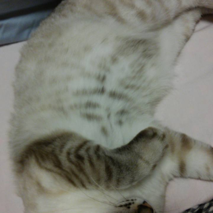 C910d736 15da 4f8c b75b 9db80fc1e1c4 1510068640554