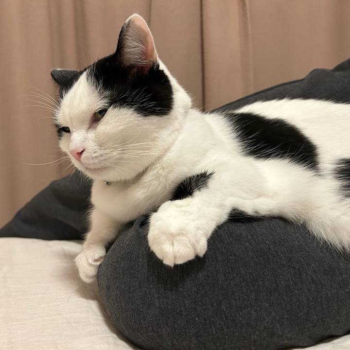 C910ef8b a441 4ff8 b7b8 89f178d55178 1761436164792