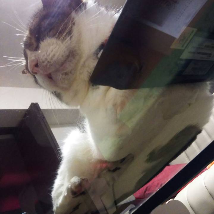 C911151a f4cf 462d ac26 709bdfdccc74 1569419616066