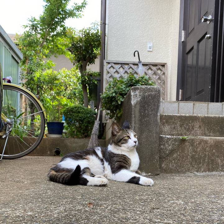 C91144e1 a43f 494c a9ee e55265d44eb8 1620534855487