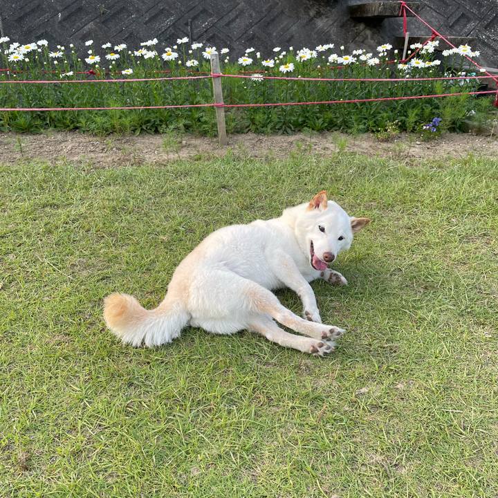 C91198ec 25f9 424d 89f4 b3bf44f1007e 1654356908685