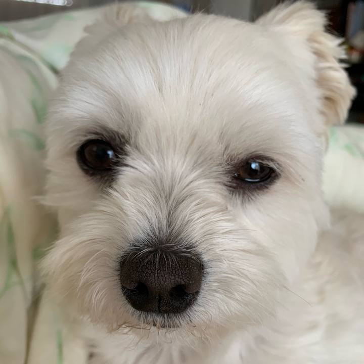 C911d486 ec73 420d 82c2 22bb6a6aaf42 1590191434914