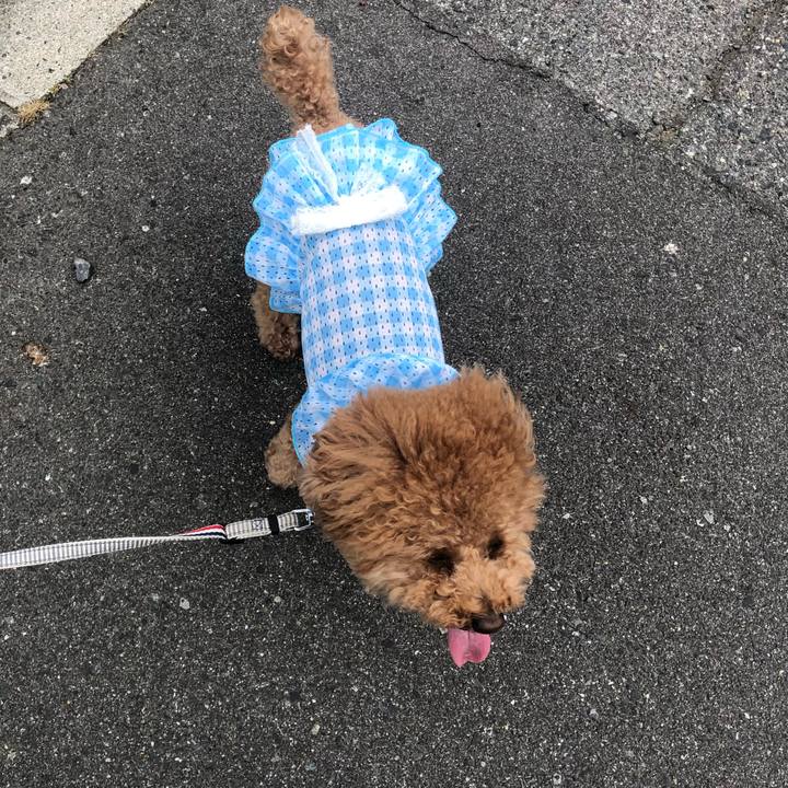 C911de39 9870 4708 9f0d 26c45774b8eb 1591790499926