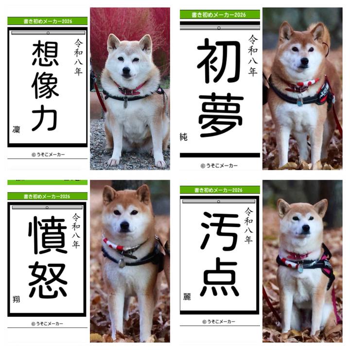 C91222e5 3e39 41e4 9b99 8d83ee4fa5f7 1767455697759