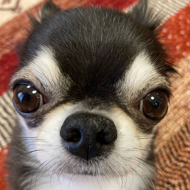 C912258b 7e9d 477b a3b7 b8dc6e9cd31a 1671321087821