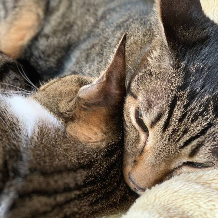 C9123019 7b69 42bd a887 b81ef3ef0993 1543714006732