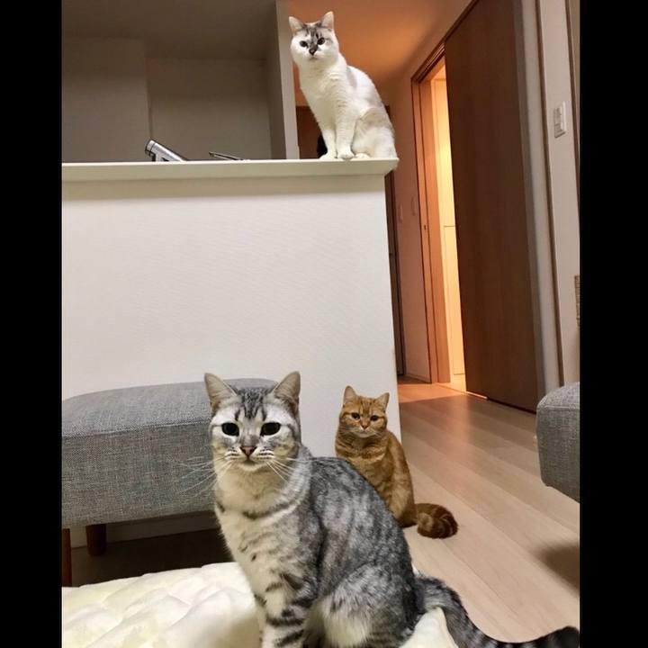 C9123462 c01f 4168 84a7 8194aaa5879f 1543065884356