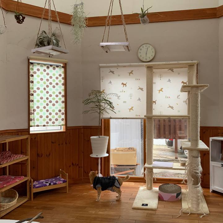 C91243b2 19b9 4afc a649 b357254ba51e 1652305483148