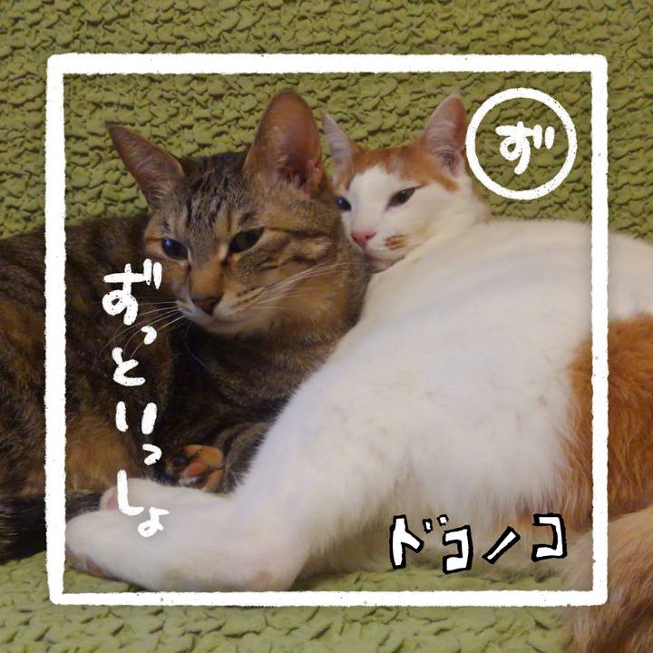 C912699b dd63 4e62 8cb4 6b7b1a92172f 1685932534053