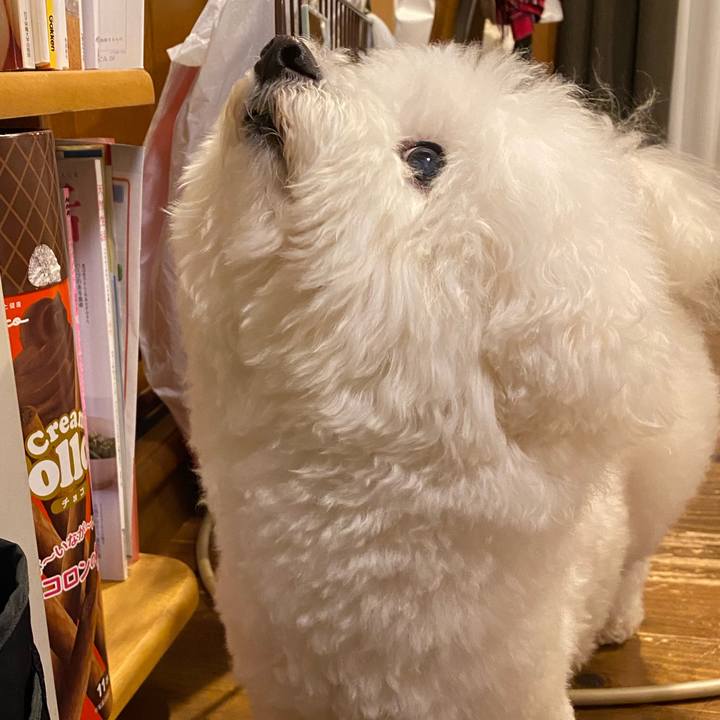 C912b71f 1c6d 441b ab00 e8fdff65d99b 1613466446947