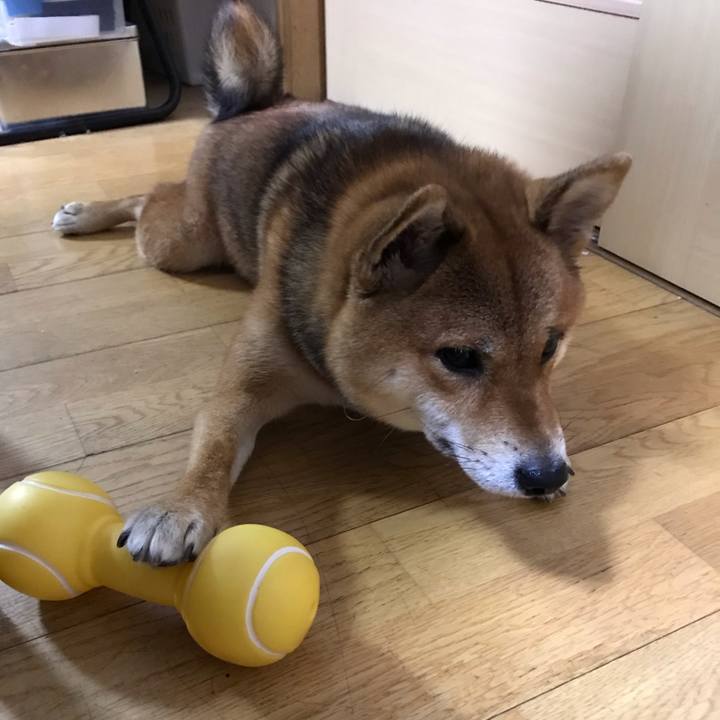 C912d962 b0ac 45f2 9461 ba460df4bf0d 1540379103707