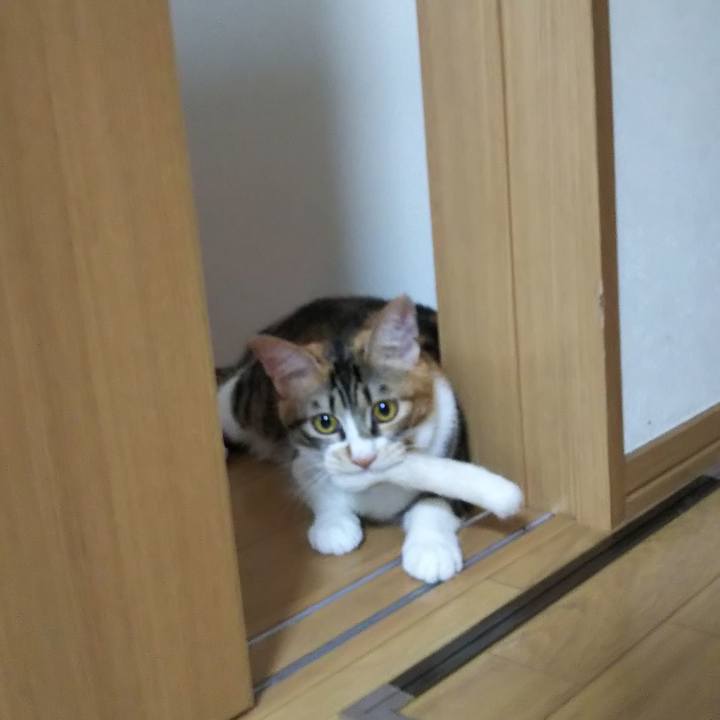 C912e000 1c1f 4a89 a946 a1ef91c79d77 1662419701018