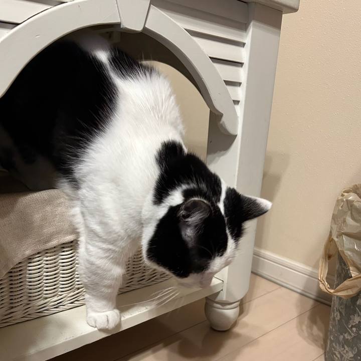 C912e742 0f14 4793 aef7 660fdac1a1af 1773357563775