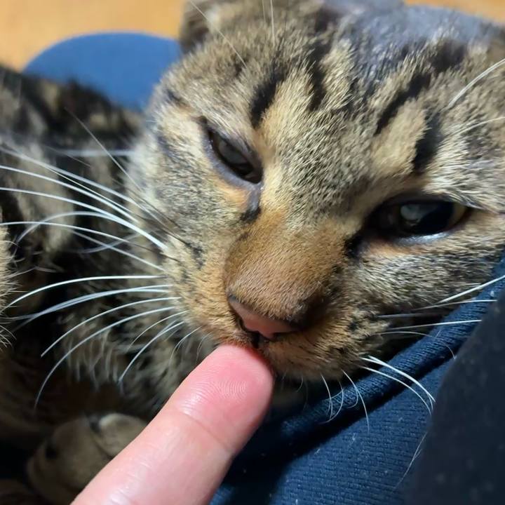 C9130689 186e 4dbf be58 27bca7eb414e 1762854251962