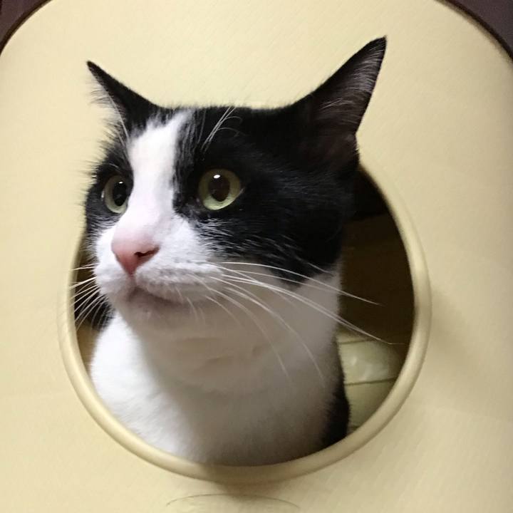 C9131054 1333 4cb9 a050 e23270c01789 1693834157656