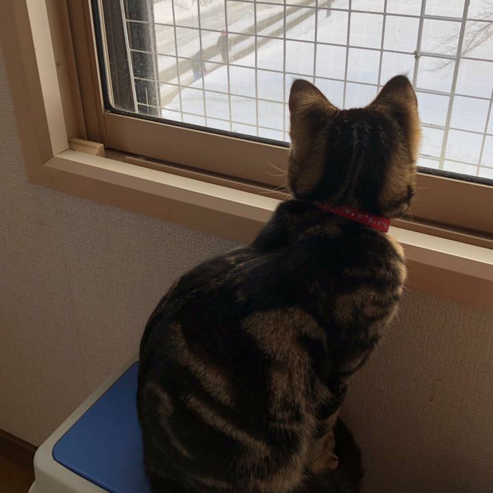 C9133c5c 09c9 4b6f b14c 2ffab6eb8578 1742076544199