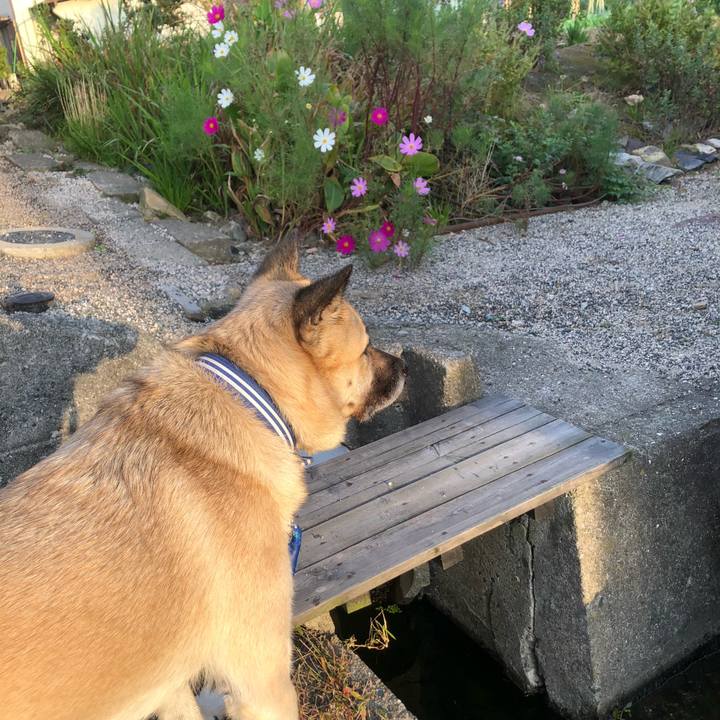 C913417c 9e31 40e0 a91b e9deeaed3c6a 1573129221810