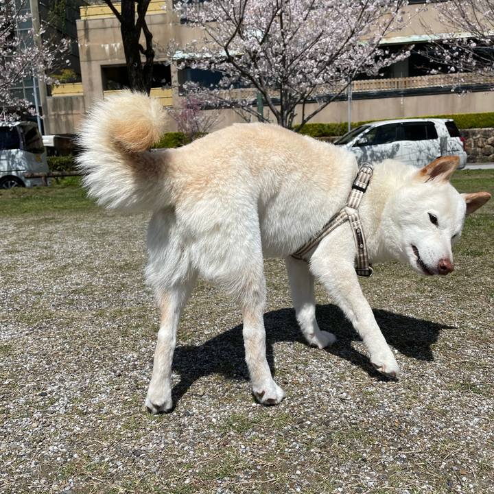 C91348e5 645b 4583 b0ec 96ef9365eedd 1648393070664