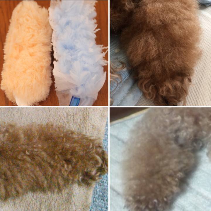 C9136a98 5e65 4232 9bfe f684098947b5 1550677456595