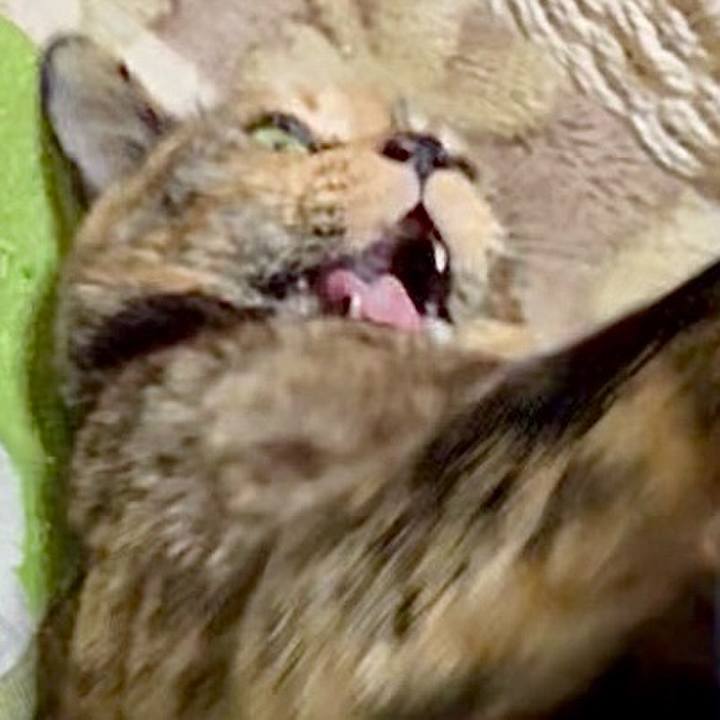 C9139f7f a6e9 467f a33e 5b0abad6e894 1774298227245