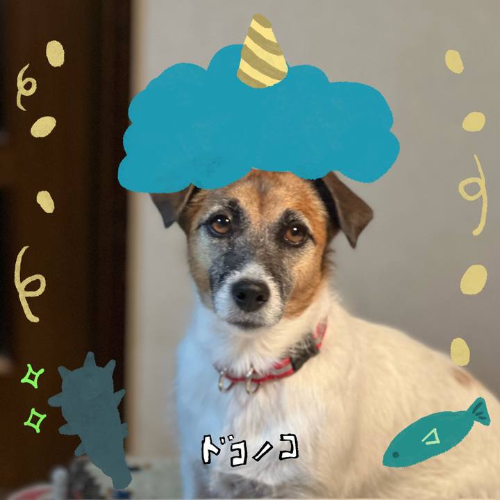 C913a322 8b8c 407d 8c1b 1c56a31b624b 1706795449049