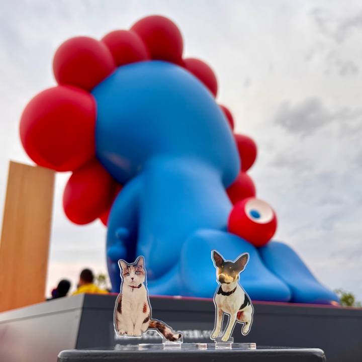 C913b6f9 68c9 43db adc6 84489a6e68fc 1748686439655