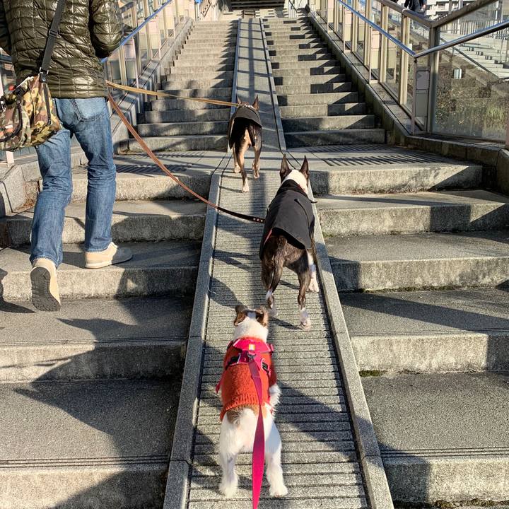 C913c646 4340 46c7 87a6 3ee89634ce3a 1578218800533