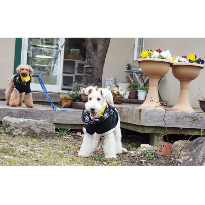 C913cf5f b01a 4191 8b92 6484c2ba6c59 1553150784138